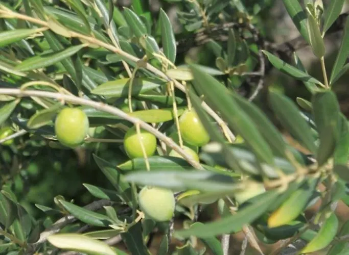 With Parking Space - 8493 *