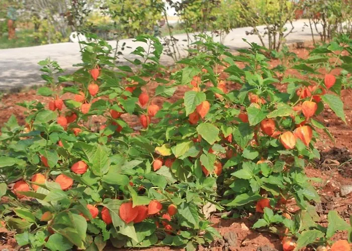 Διαμέρισμα With Parking Space - 8493 *