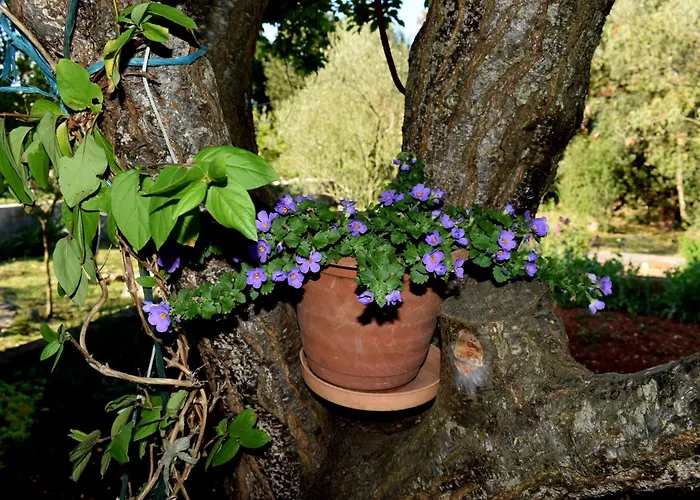 With Parking Space - 8493 * Ugljan