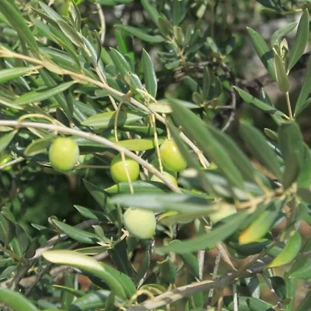 With Parking Space - 8493 *