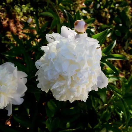 With Parking Space - 8493 乌格连