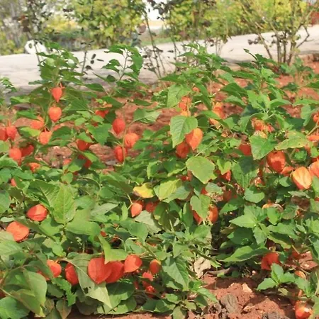 公寓 With Parking Space - 8493 *