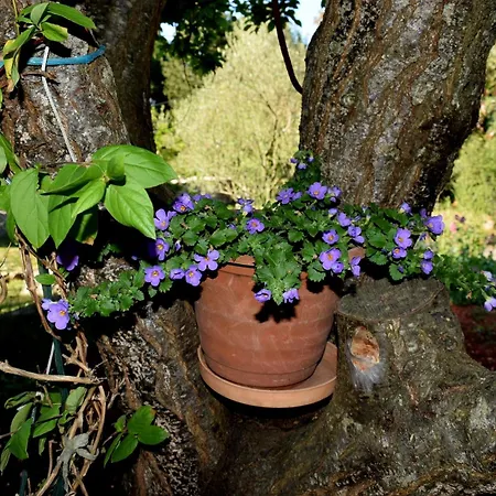 With Parking Space - 8493 * 乌格连