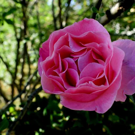 With Parking Space - 8493 公寓 乌格连