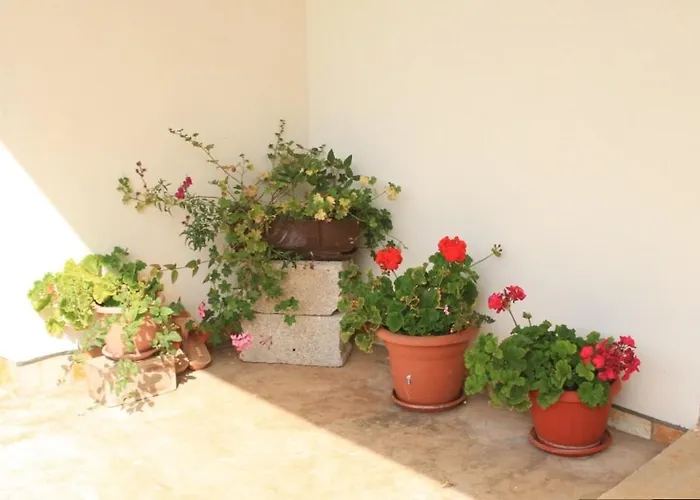 With Parking Space - 8493 Ugljan